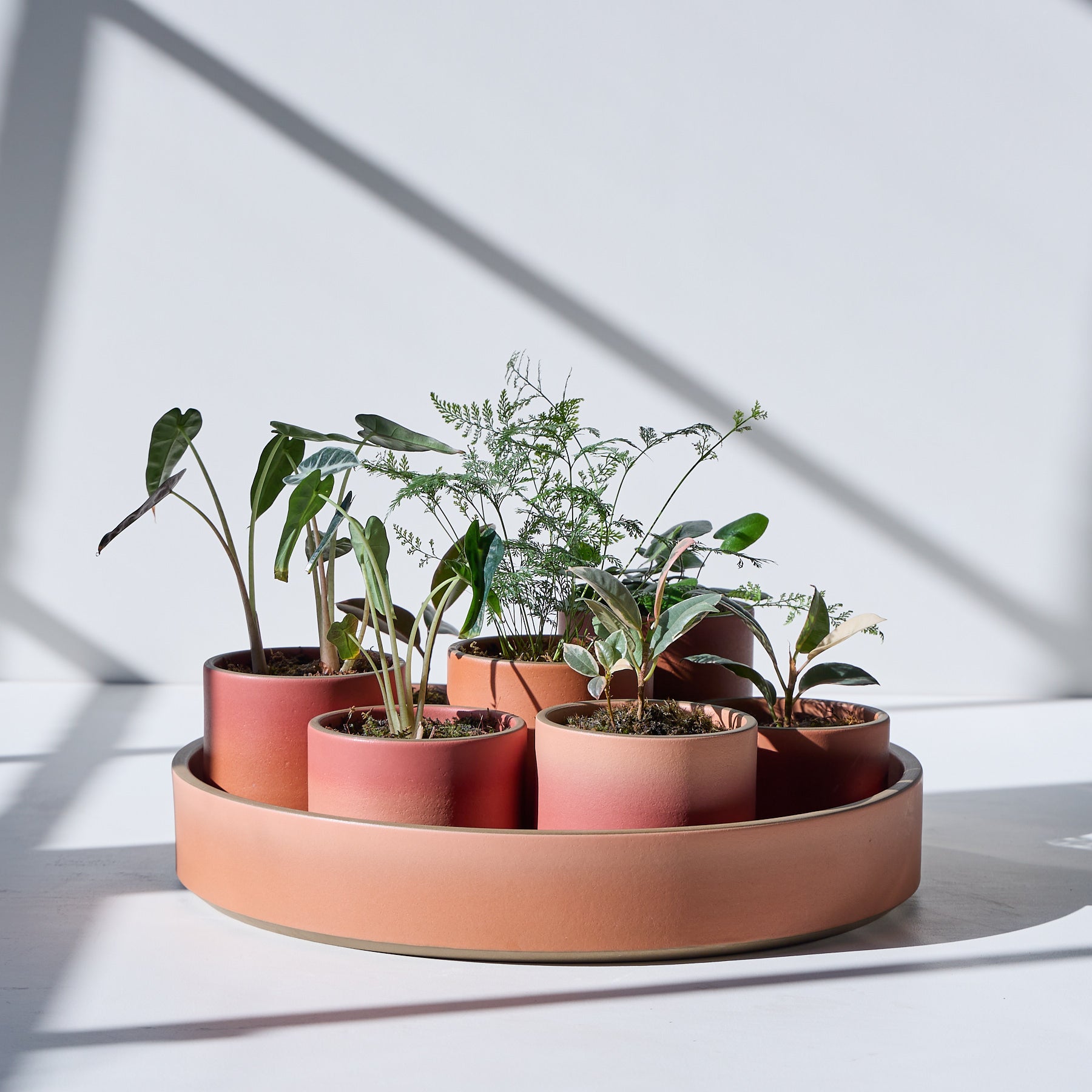 Form 03 - Premium Quality [Product Type] for [Target Audience] | Durable & Stylish Design | Perfect for [Use Case 1], [Use Case 2] and [Use Case 3] | Fast US Shipping
