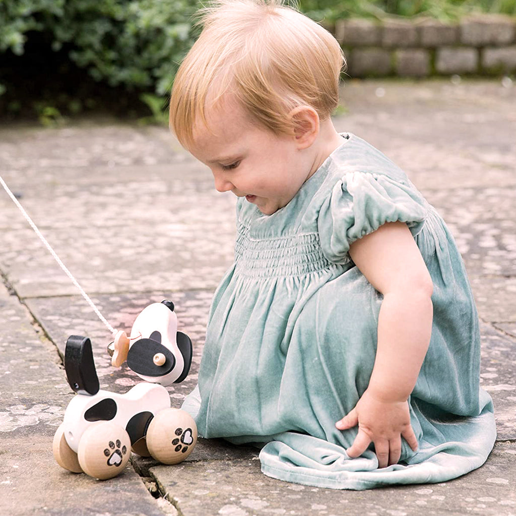 Pull Along Dog Toy - Interactive Pet Play for Dogs - Fun Tug & Fetch Toy for Indoor & Outdoor Use