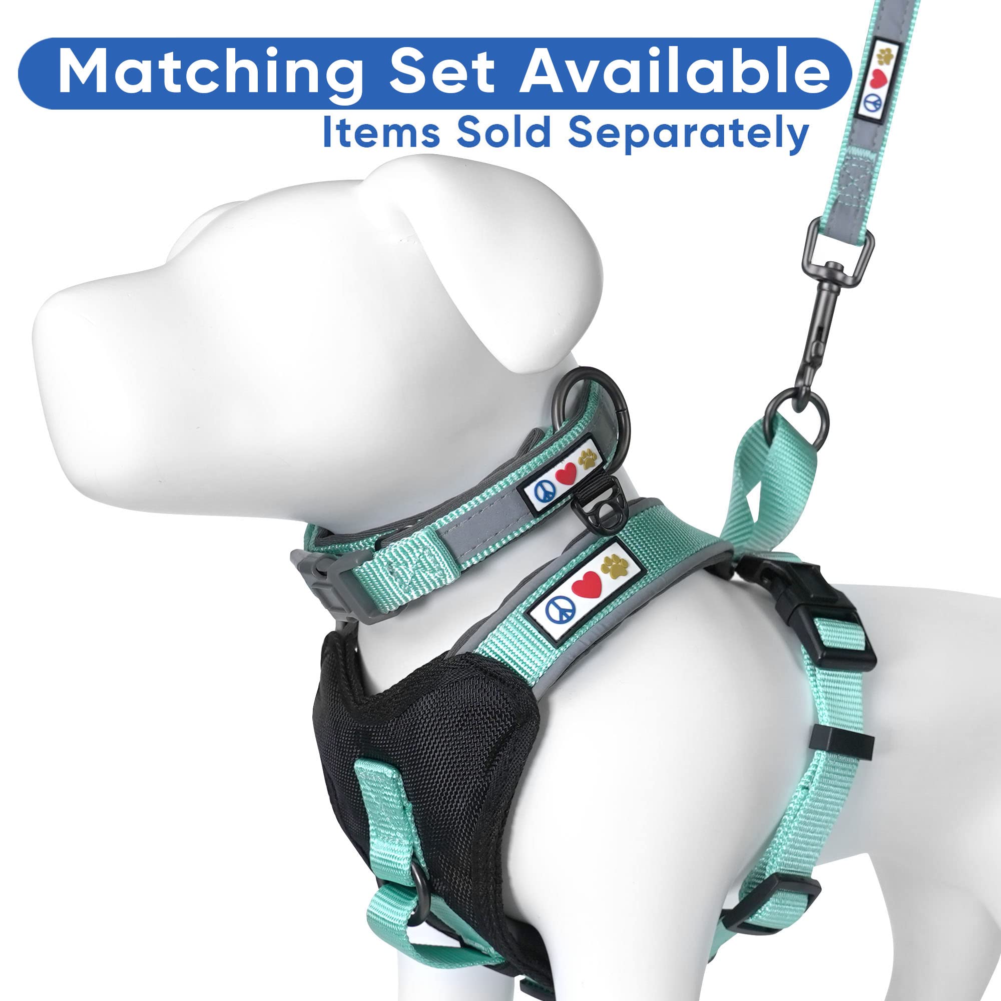Pawtitas Reflective Padded Dog Harness - Comfortable & Adjustable Pet Vest for Walking, Running & Night Safety - Medium Size Teal Blue - Perfect for Small to Medium Dogs Outdoor Adventures