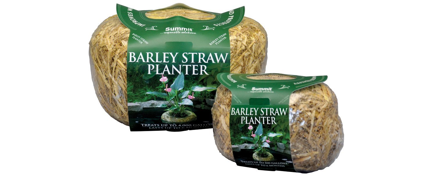 Summit 1140 Clear-Water Barley Straw Planter for Ponds & Water Features | Natural Algae Control | Treats up to 4000 Gallons | Perfect for Garden Ponds, Koi Ponds & Small Lakes