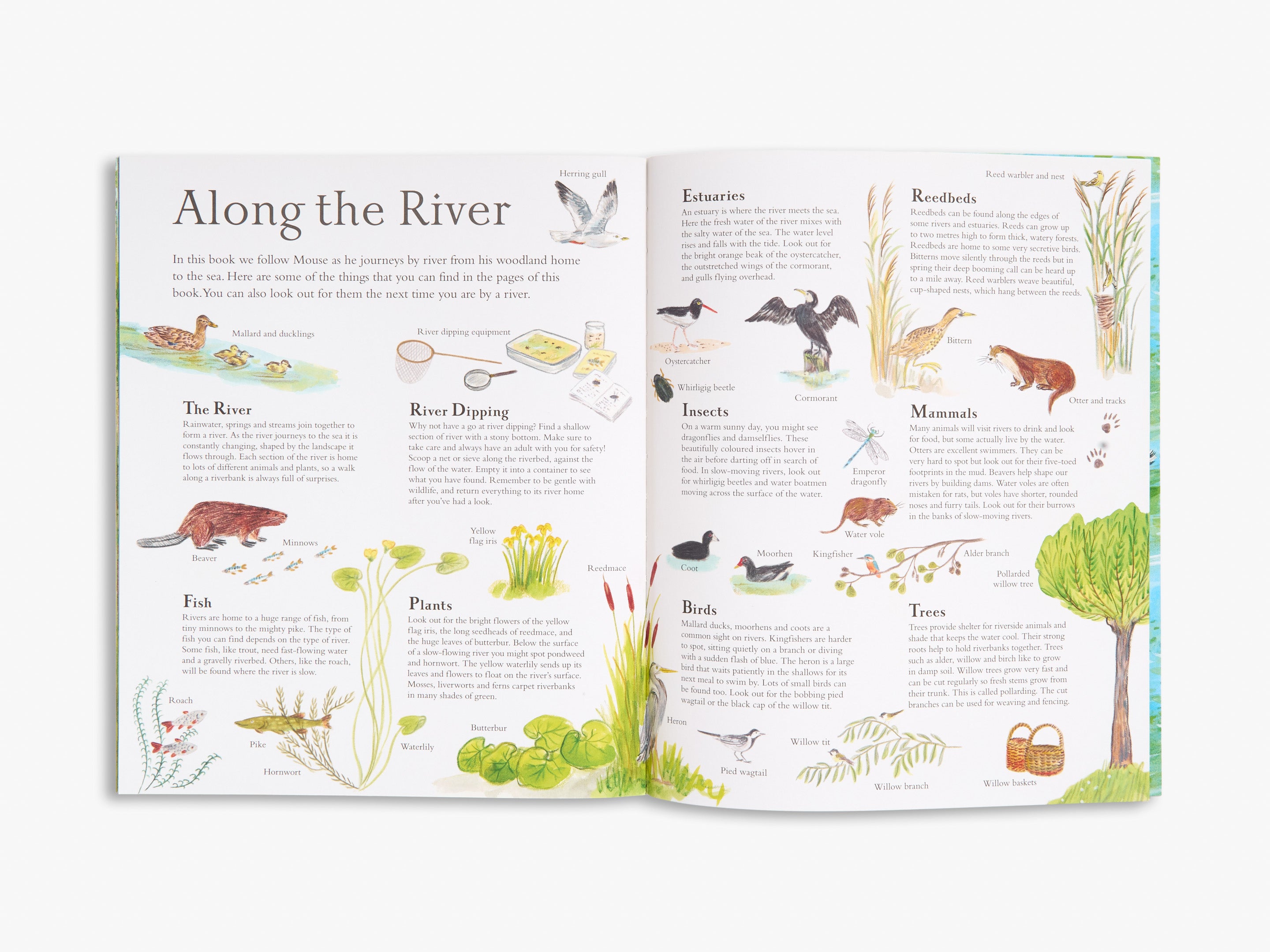 Mouse on the River - Children's Picture Book from Mouse's Wood Series | Perfect for Bedtime Stories & Early Reading