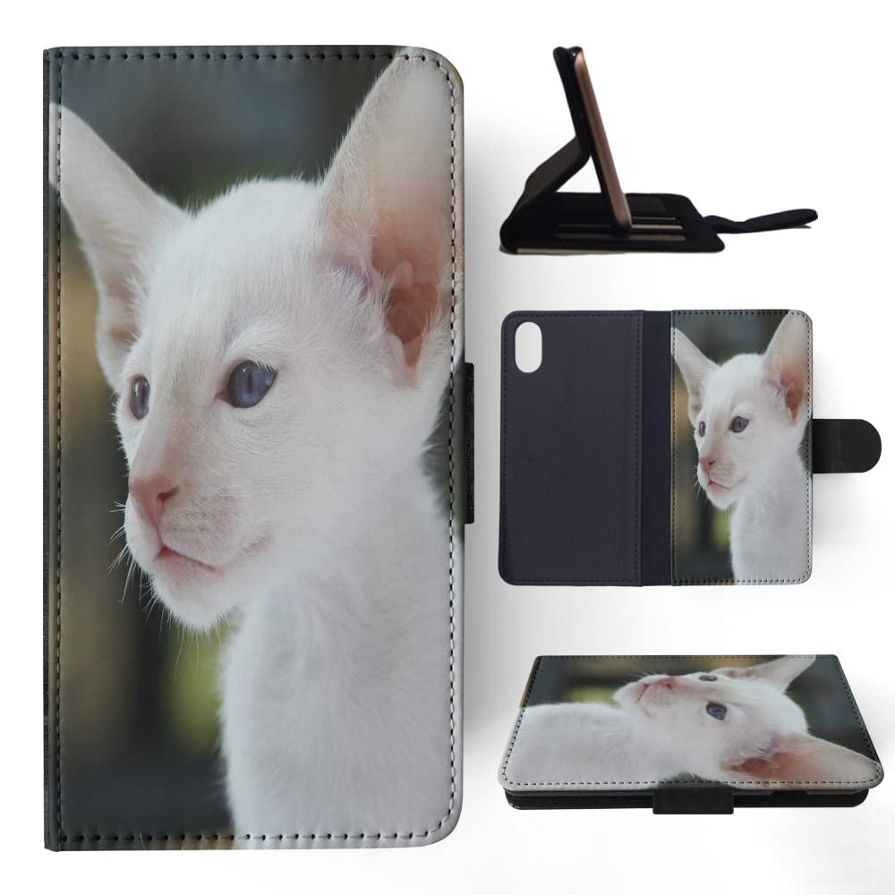 White Sphynx Cat Kitten Feline Flip Wallet Phone Case Cover for Apple iPhone X & Xs - Stylish Protective Phone Holder for Everyday Use & Travel