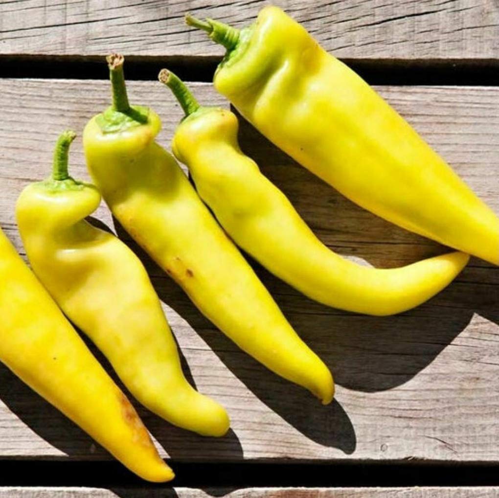 100+ Non-GMO Yellow Hot Pepper Seeds for Planting - Home Garden Vegetable Seeds for Cooking, Canning & Spicy Recipes