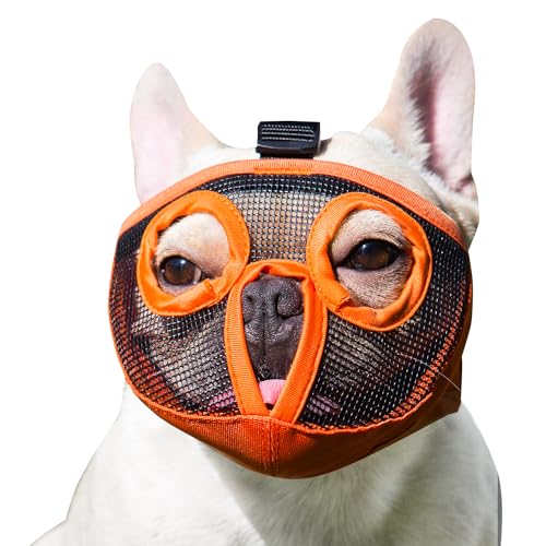 Orange(Eyehole)