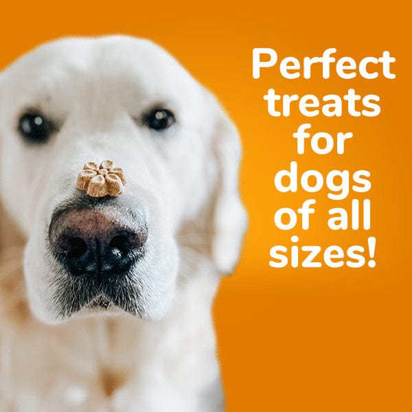 Fruitables Baked Crispy Bacon & Apple Dog Treats - Healthy Natural Snacks for Small & Large Dogs - Perfect for Training Rewards & Daily Treats