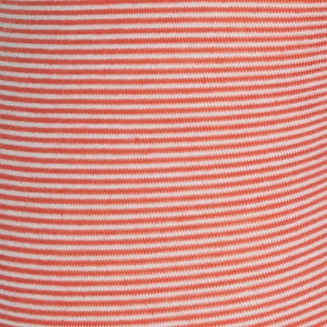 Pink Stripe