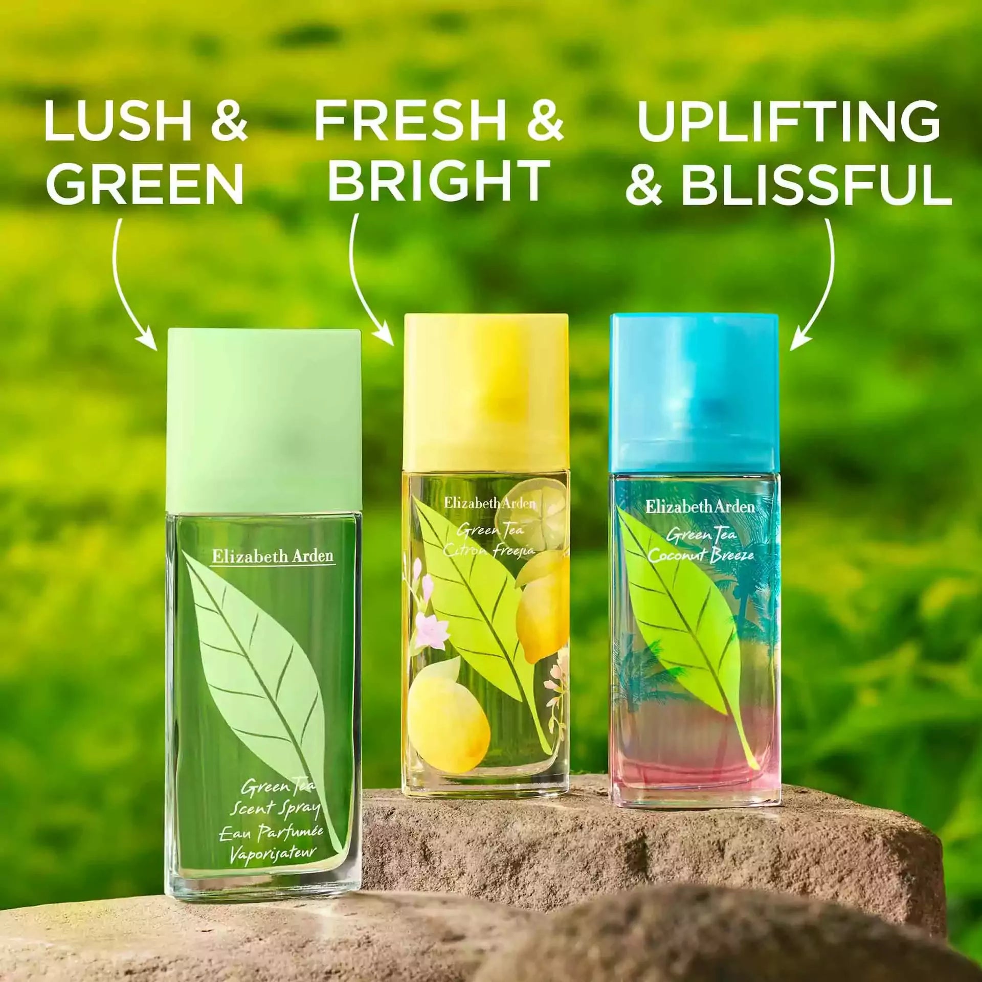 Refreshing Green Tea Scented Room Spray - Natural Air Freshener for Home, Office & Car | Aromatherapy & Relaxation