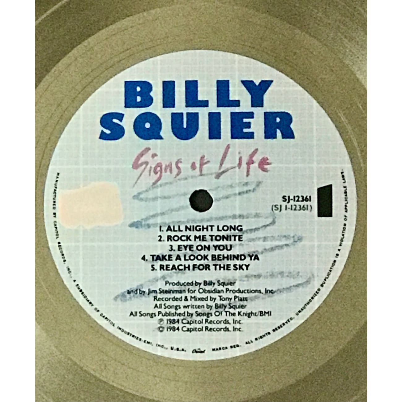 Billy Squier Signs Of Life RIAA Platinum Album Award - Certified Music Collectible for Fans & Memorabilia Enthusiasts - Perfect for Display in Music Rooms, Home Theaters & Collector Galleries