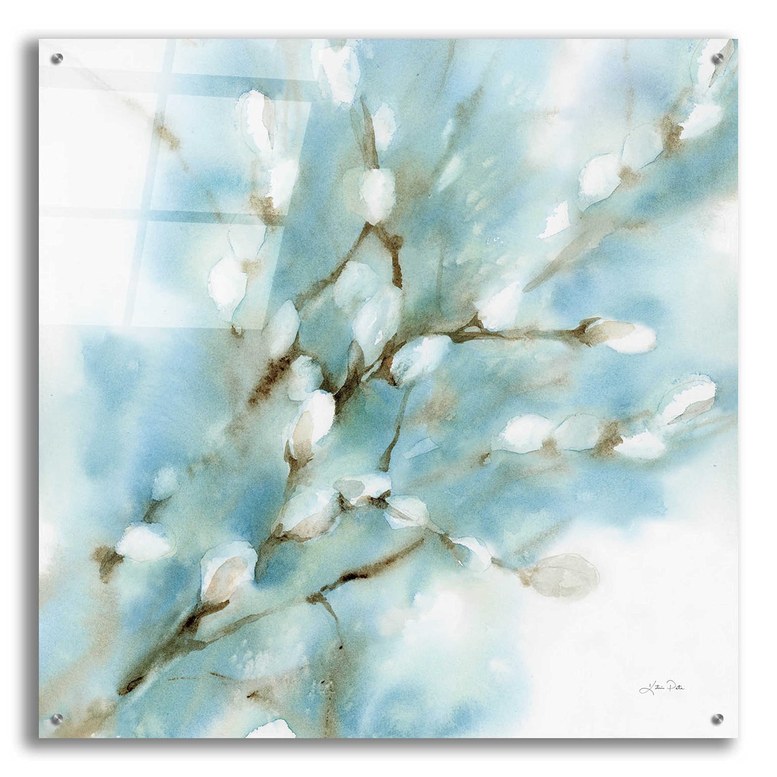 Epic Art 'Pussy Willows Square' by Katrina Pete - 36x36 Inch Acrylic Glass Wall Painting - Modern Home Decor for Living Room, Bedroom & Office