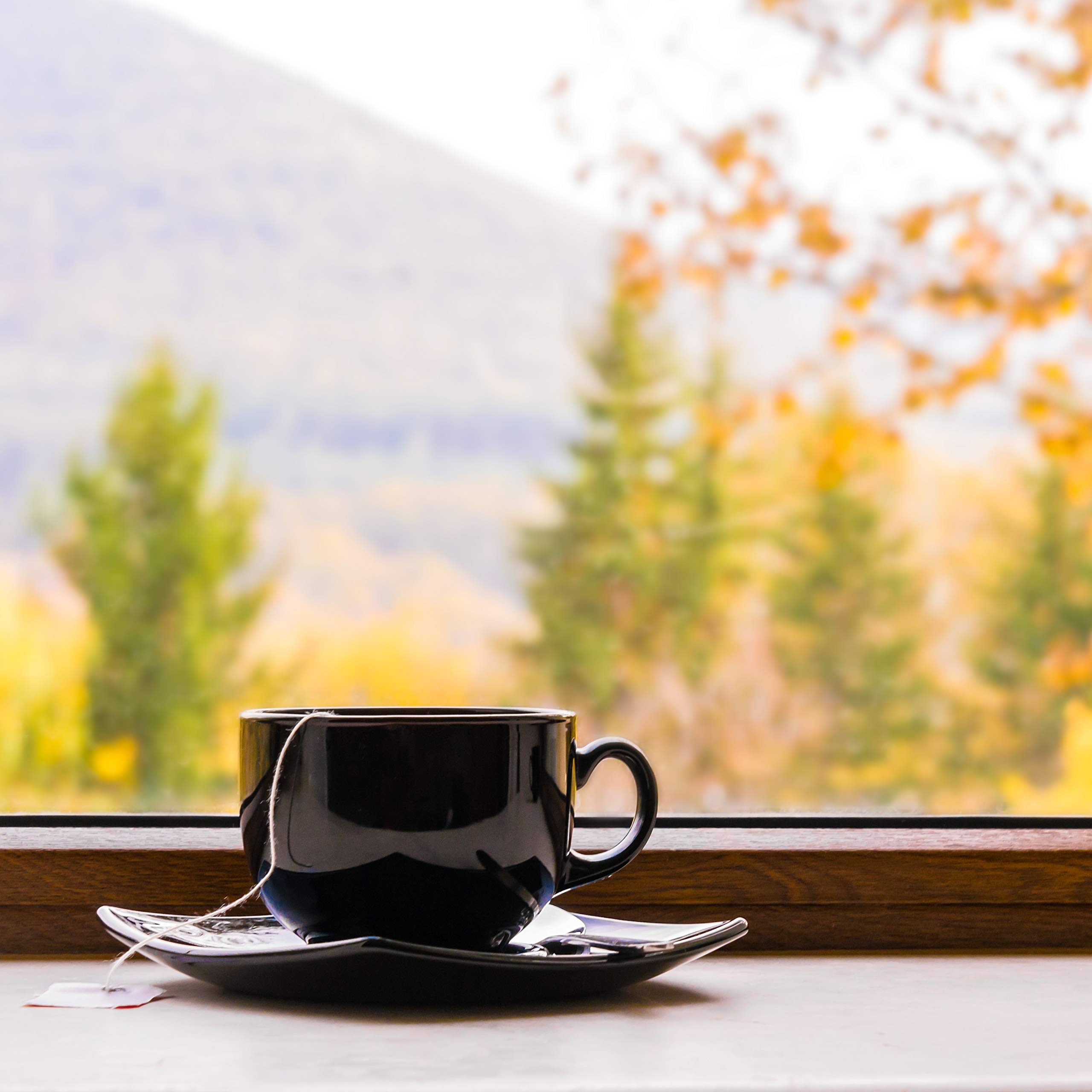 Premium Decaffeinated Earl Grey Black Tea Loose Leaf - Bergamot Citrus Flavor | 80-100 Cups (8oz) | Hot & Iced Tea | Perfect for Afternoon Tea, Relaxation & Gift Giving | The Spice Hut First Sip of Tea