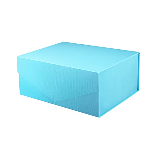 Blue-Pack of 1