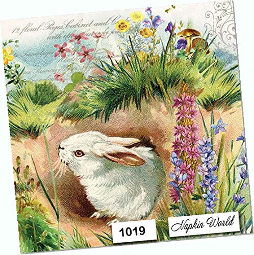 Easter Bunny Floral Paper Napkins - 6.5x6.5 Inch Decorative Luncheon Napkins, Set of 4 - Perfect for Spring Parties, Easter Celebrations & Table Decorations
