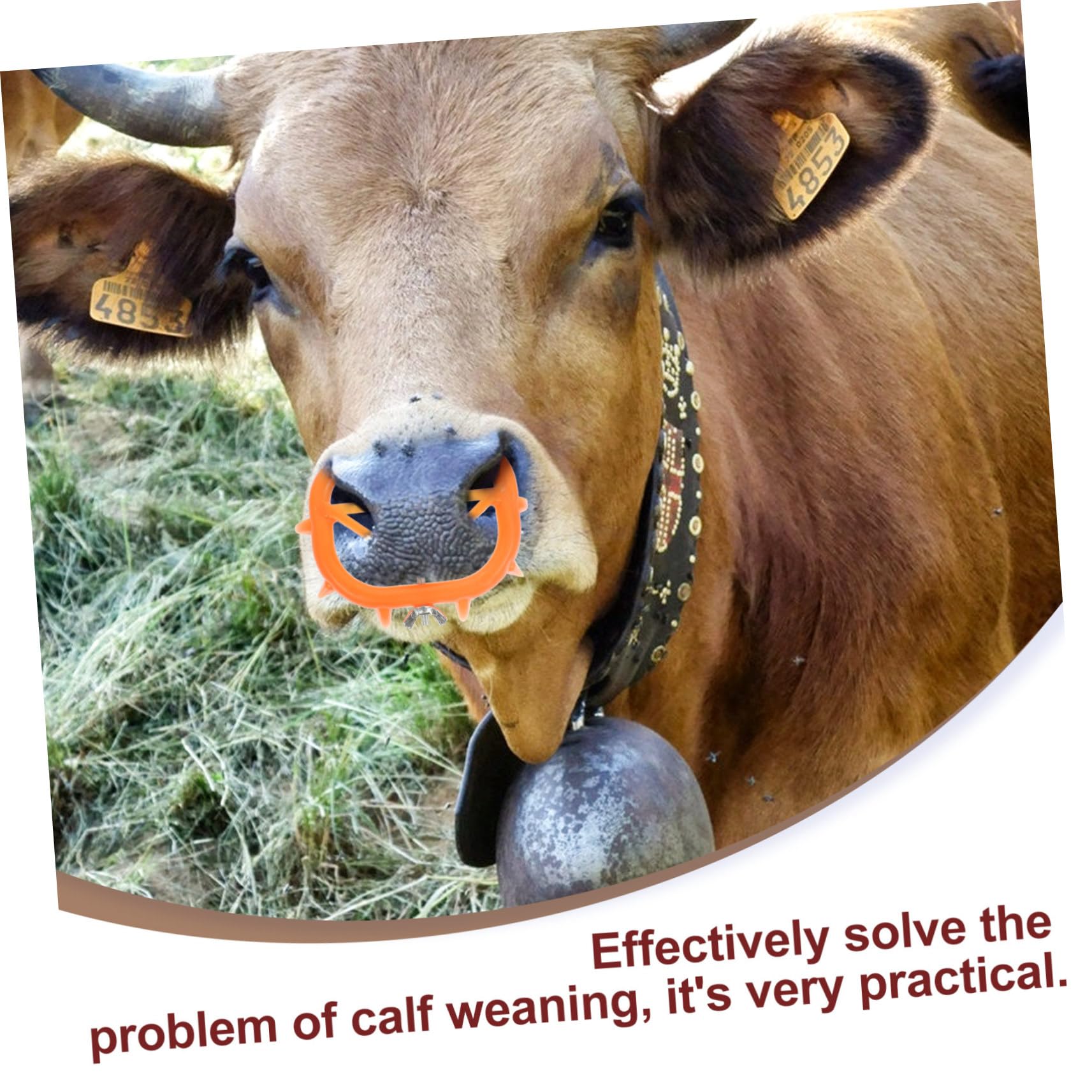 SEWOART 4-Pack Calf Nose Clips - Stress-Free Livestock Weaning Tool for Calves | Comfortable & Humane Cow Weaning Aid | Perfect for Dairy Farms & Cattle Ranches