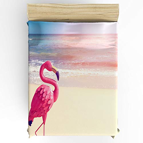 Flamingossr8453