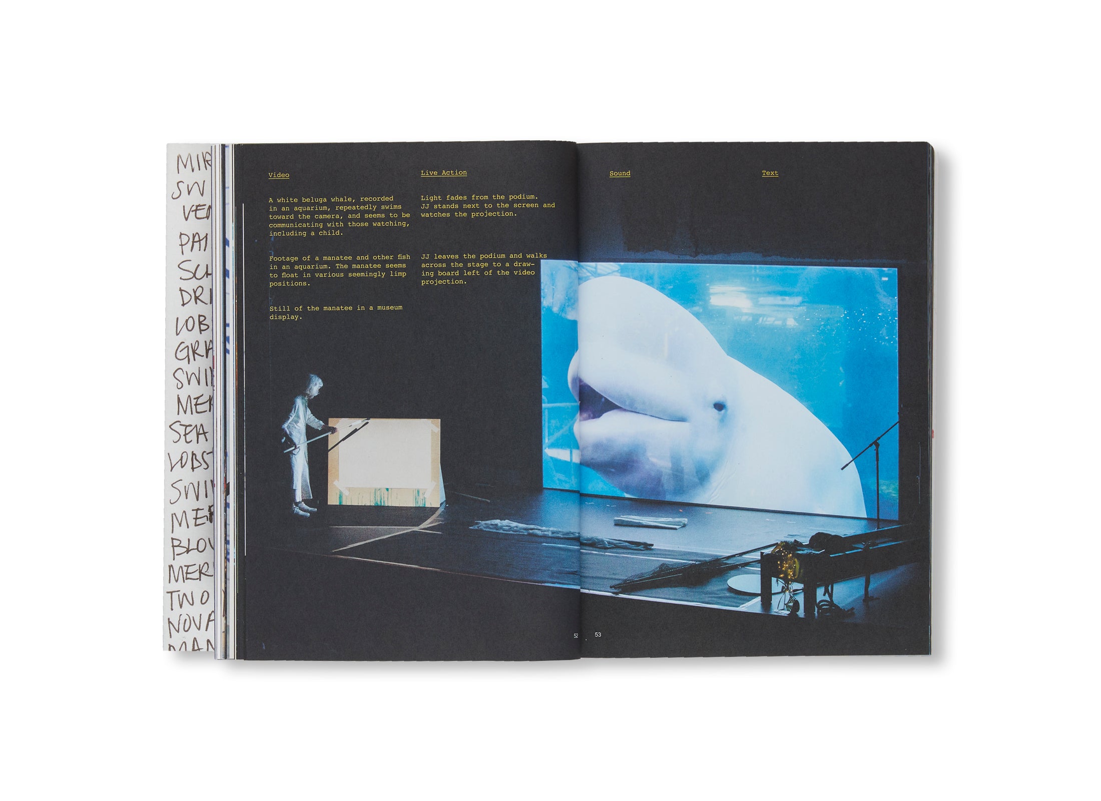 MOVING OFF THE LAND by Joan Jonas - Contemporary Art Book for Collectors & Museum Enthusiasts - Perfect for Modern Art Studies & Home Decor