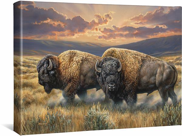 Dusty Plains Bison 13x18 Gallery Wrapped Canvas Wall Art - Western Home Decor for Living Room, Bedroom & Office