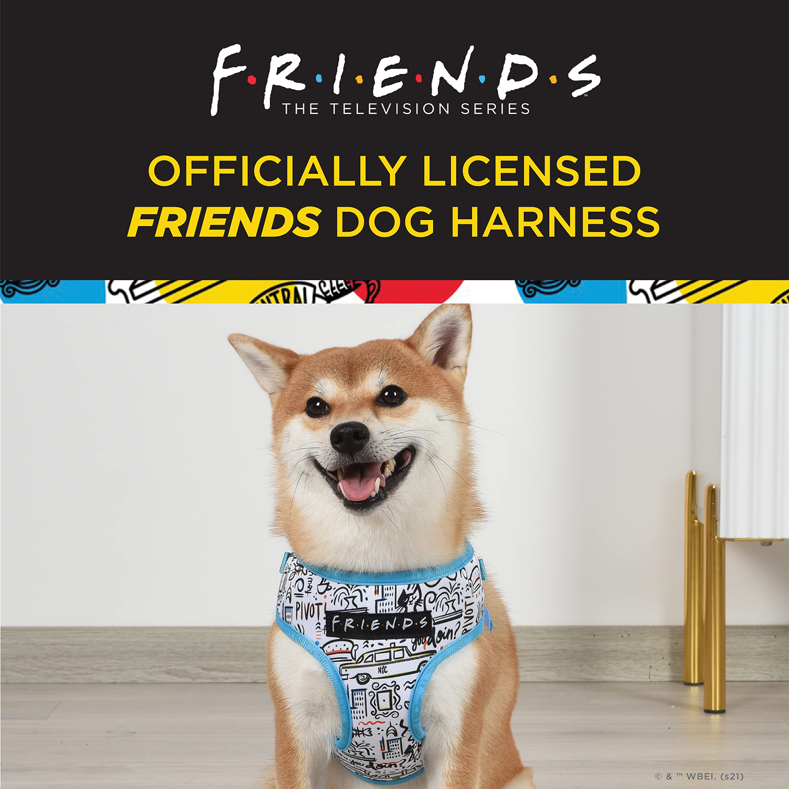 Small Dog Harness No Pull - City Doodle Blue Pet Vest with D-Ring | Adjustable Breathable Machine Washable Harness for Small Dogs (Size S) | Perfect for Walking, Training & Friends TV Show Fans