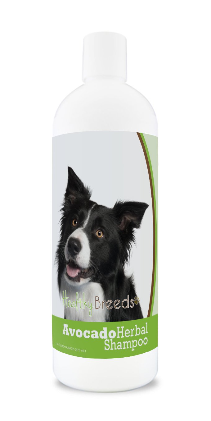 Healthy Breeds Border Collie Avocado Herbal Dog Shampoo 16 oz - Natural Oatmeal & Aloe Vera for Sensitive Skin - Gentle Cleansing for Allergies & Itchy Coat - Perfect for Bath Time & Grooming Sessions
