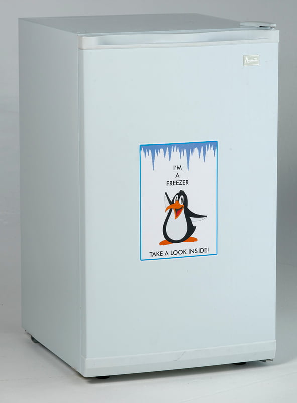 Avanti VF306 2.8 Cu. Ft. Compact Upright Freezer White - Perfect for Home, Office, or Garage Storage