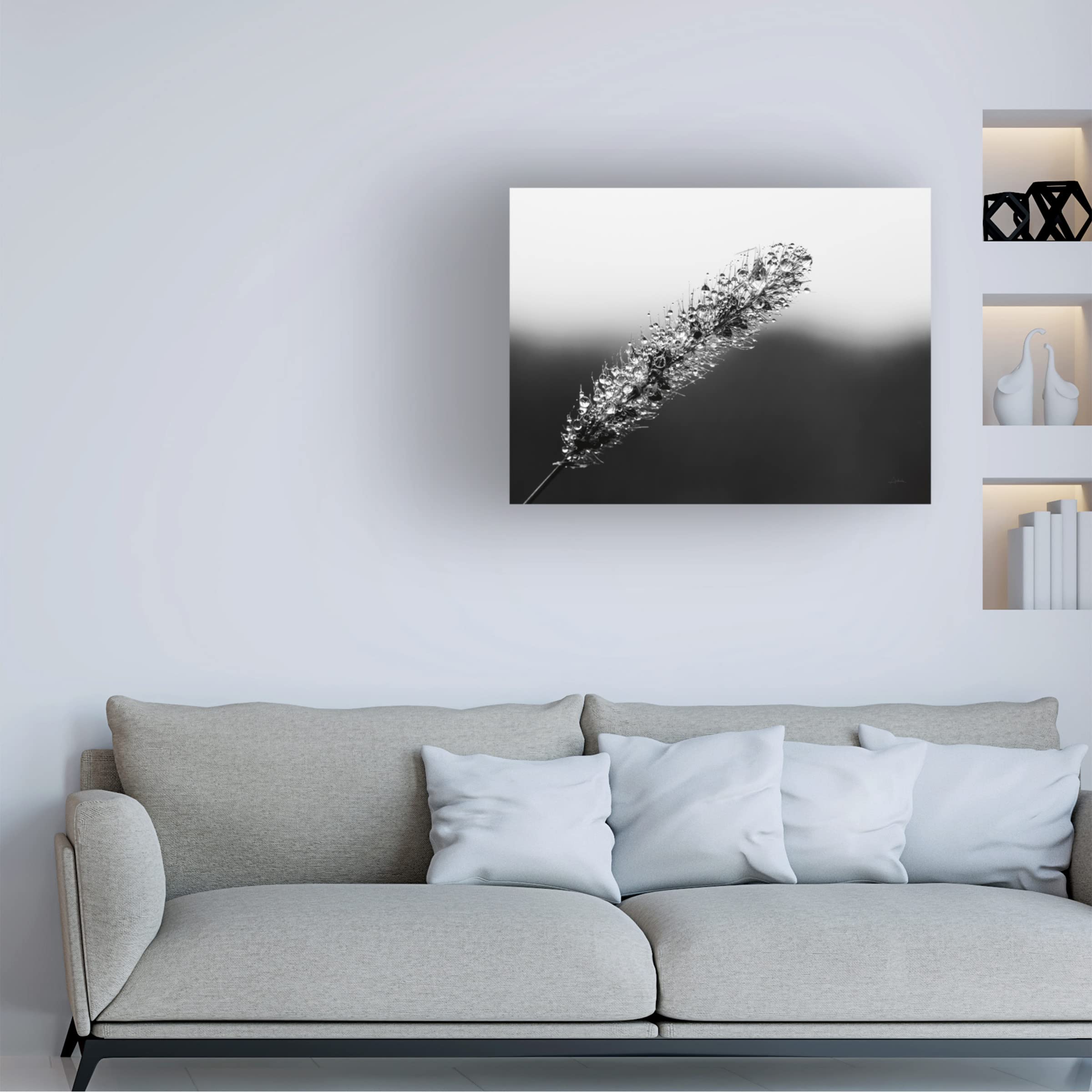 Trademark Fine Art 'Seeds and Water II' Canvas Wall Art by Aledanda - 24x32 Inches, Modern Home Decor for Living Room, Bedroom & Office