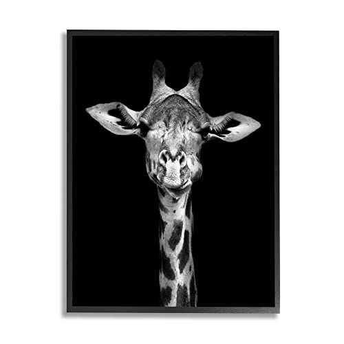 Black Framed