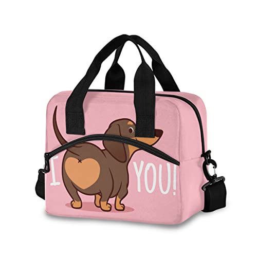 Dachshund Dog