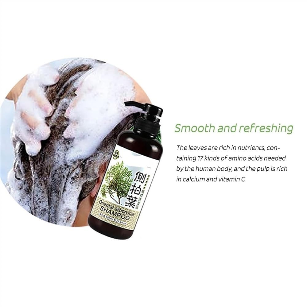 Oriental Arborvitae Shampoo for Hair Growth Control - 500ml Natural Plant-Based Hair Care with Nourishing Formula for Stronger, Healthier Hair - Ideal for Daily Use & Scalp Care (1 Count Pack)