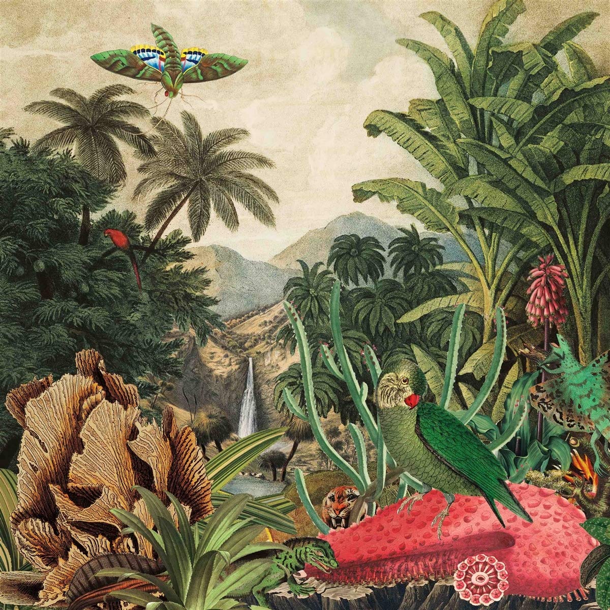 Imaginary Island Music Vol. 1: Canary Islands - Relaxing Tropical Sounds for Yoga, Meditation & Beach Vacation Ambience