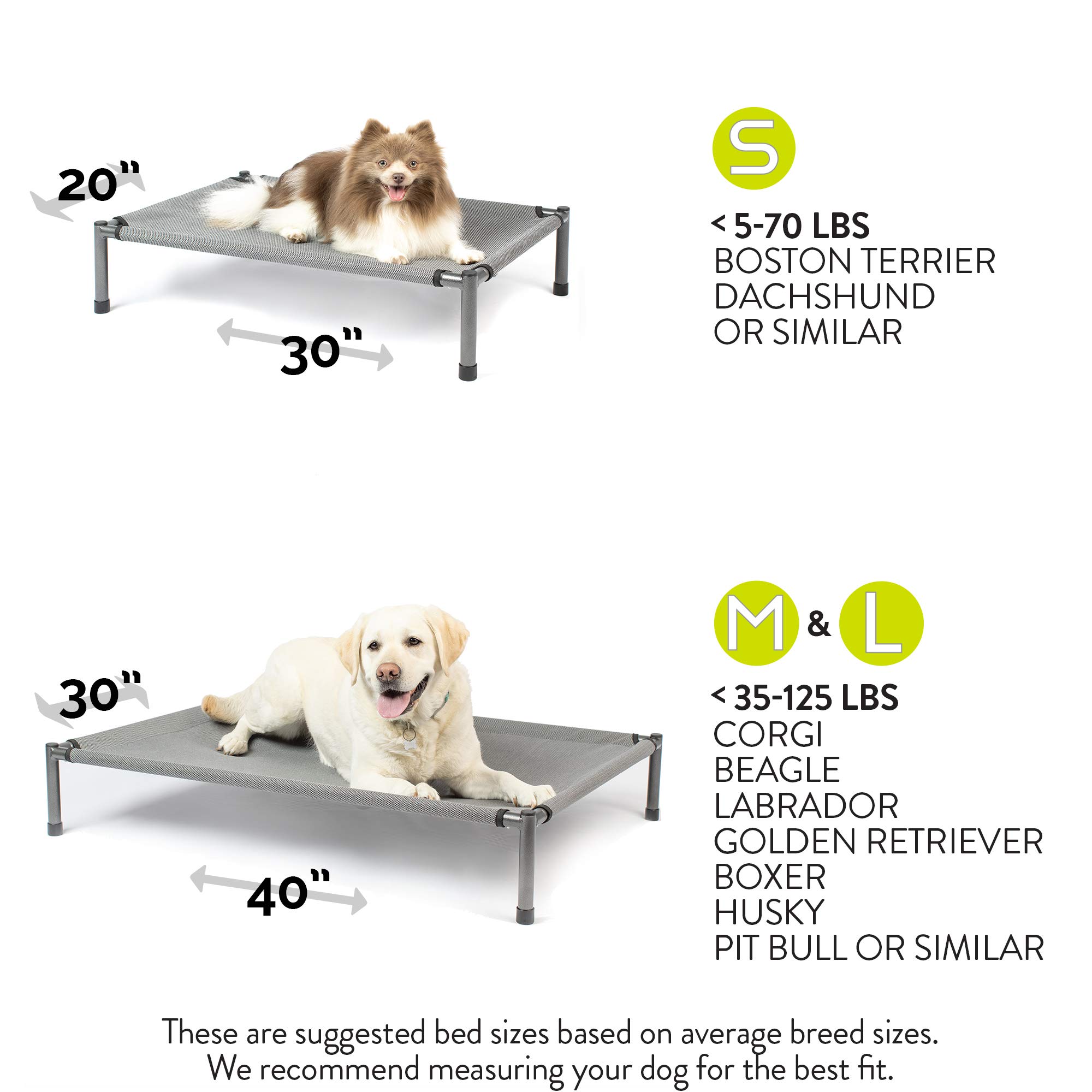 Hyper Pet Raised Rest Deluxe Elevated Dog Bed - Washable Cover, Supports 70 lbs (30
