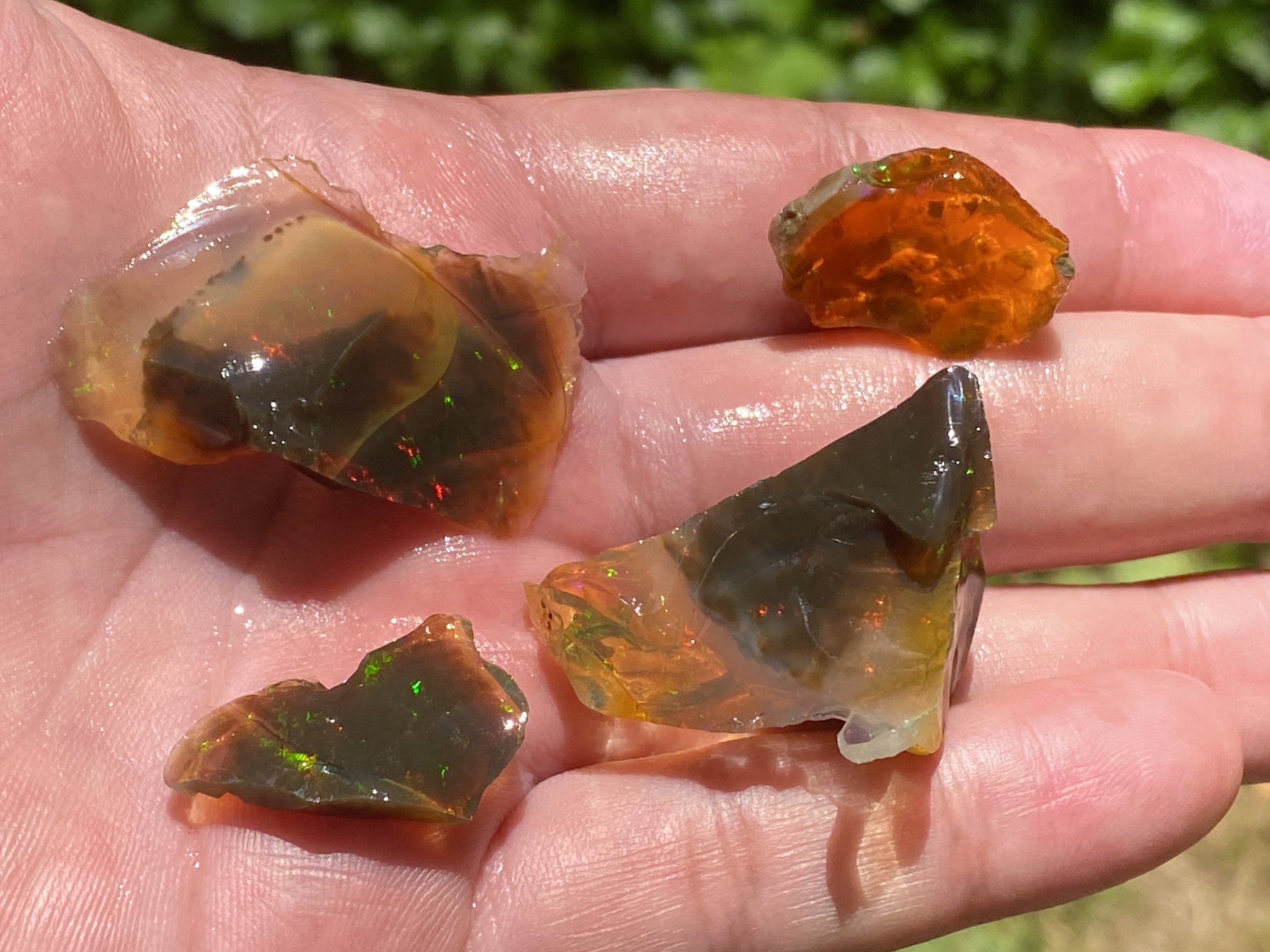 OPAL Raw Crystals - Floating Opals, B Grade Lot - Ethiopian Opal Vial, Water Opal, Welo Opal (47183) | Natural Gemstones for Jewelry Making, Healing Crystals & Mineral Collection
