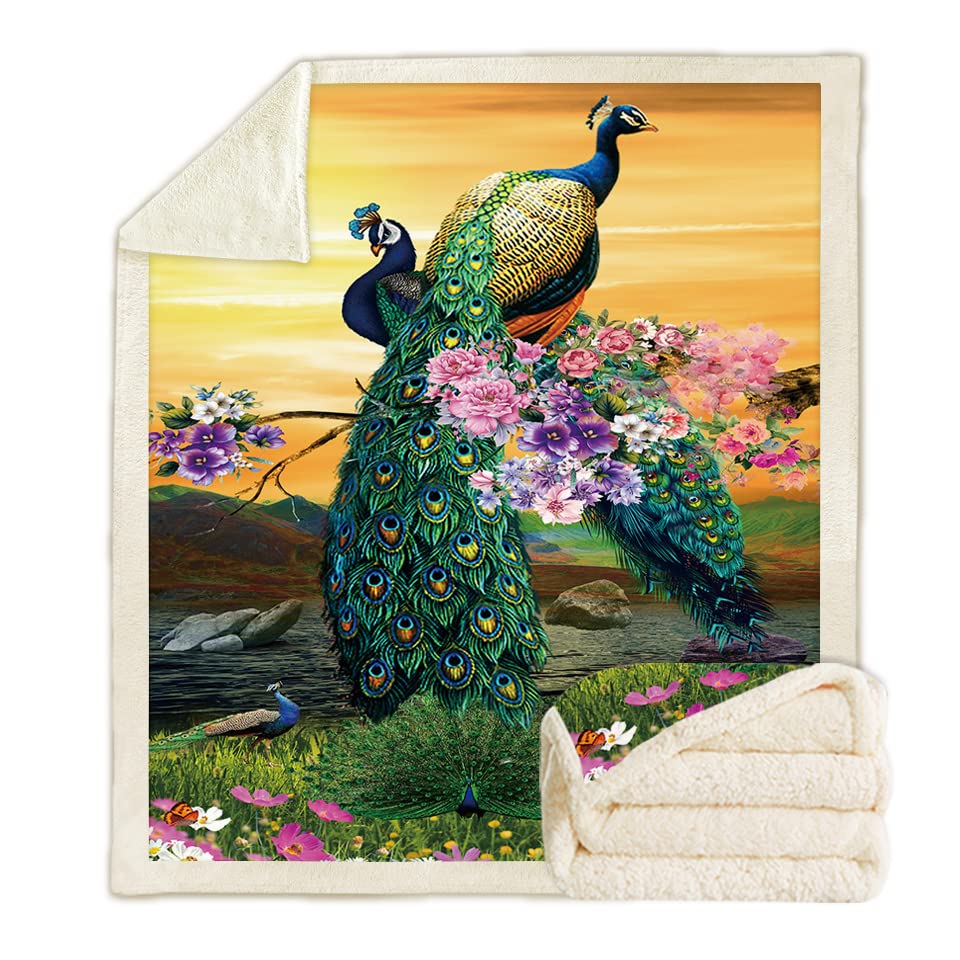 Peacock Sun