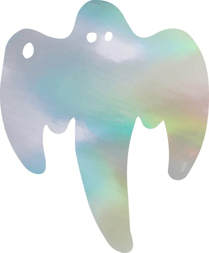 HOLOGRAM