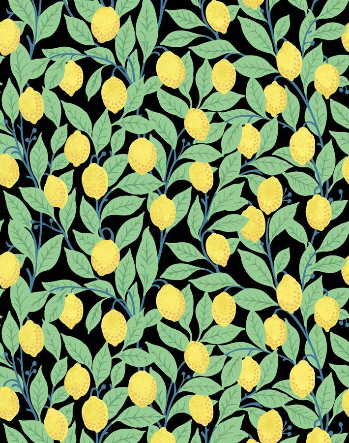 Nathan Turner Onyx Lemons Wallpaper - Peel & Stick Removable Wallpaper for Kitchen, Bathroom, and Home Decor