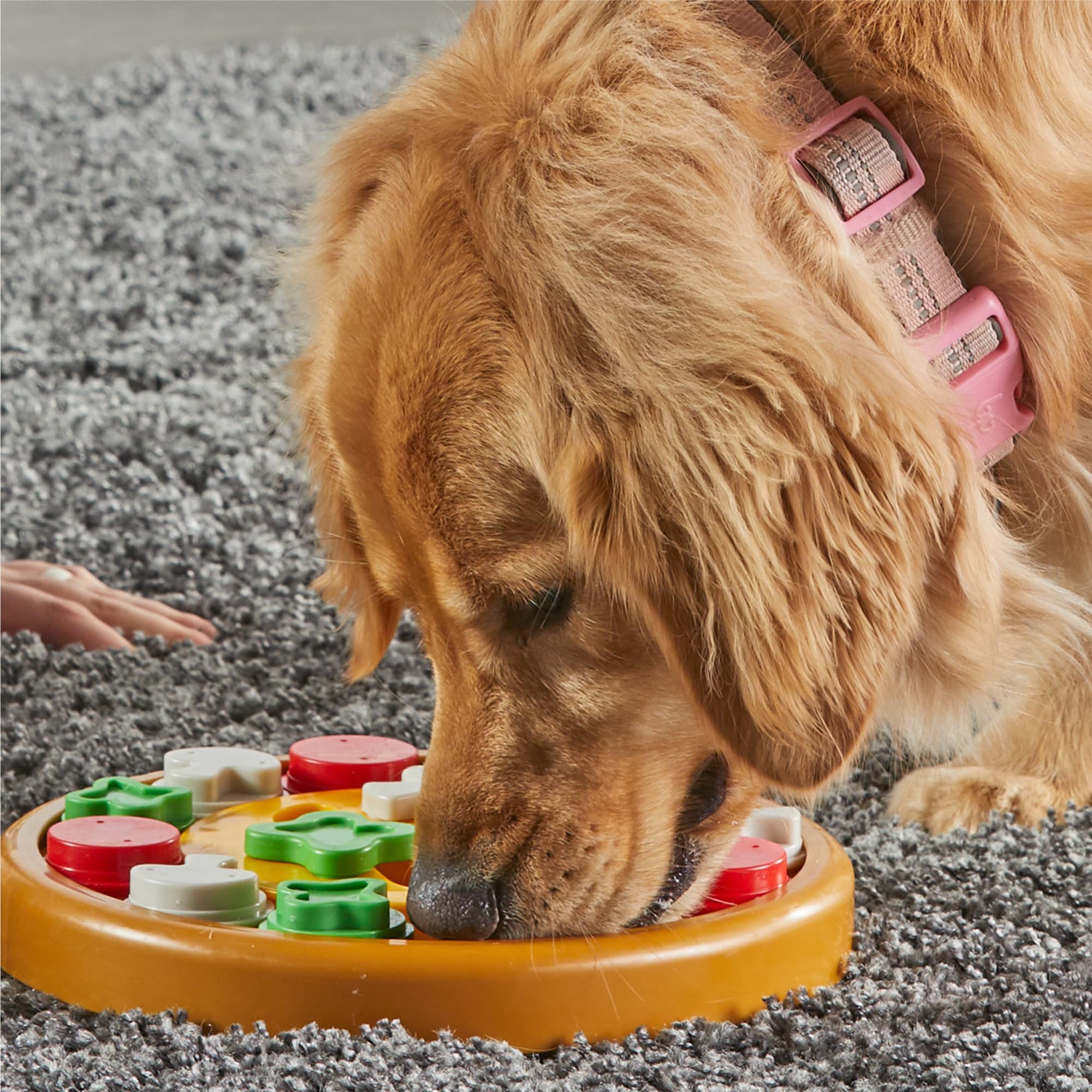 Brightkins Pizza Party! Interactive Dog Puzzle Toy - Treat Dispensing Brain Game for Dogs, Fun Enrichment Activity for Small & Large Breeds - Perfect for Boredom Relief & Mental Stimulation