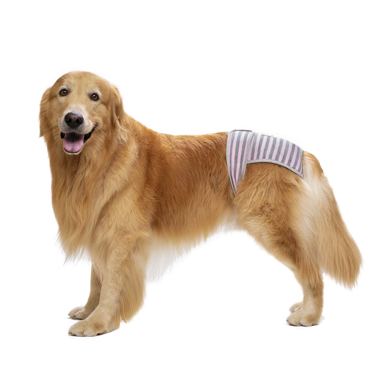3 Pack Washable Reusable Dog Diapers for Female Dogs - Adjustable Velcro Waistline, Large Medium Breed, for Heat & Incontinence - Perfect for Indoor Use, Travel & Post-Surgery Care