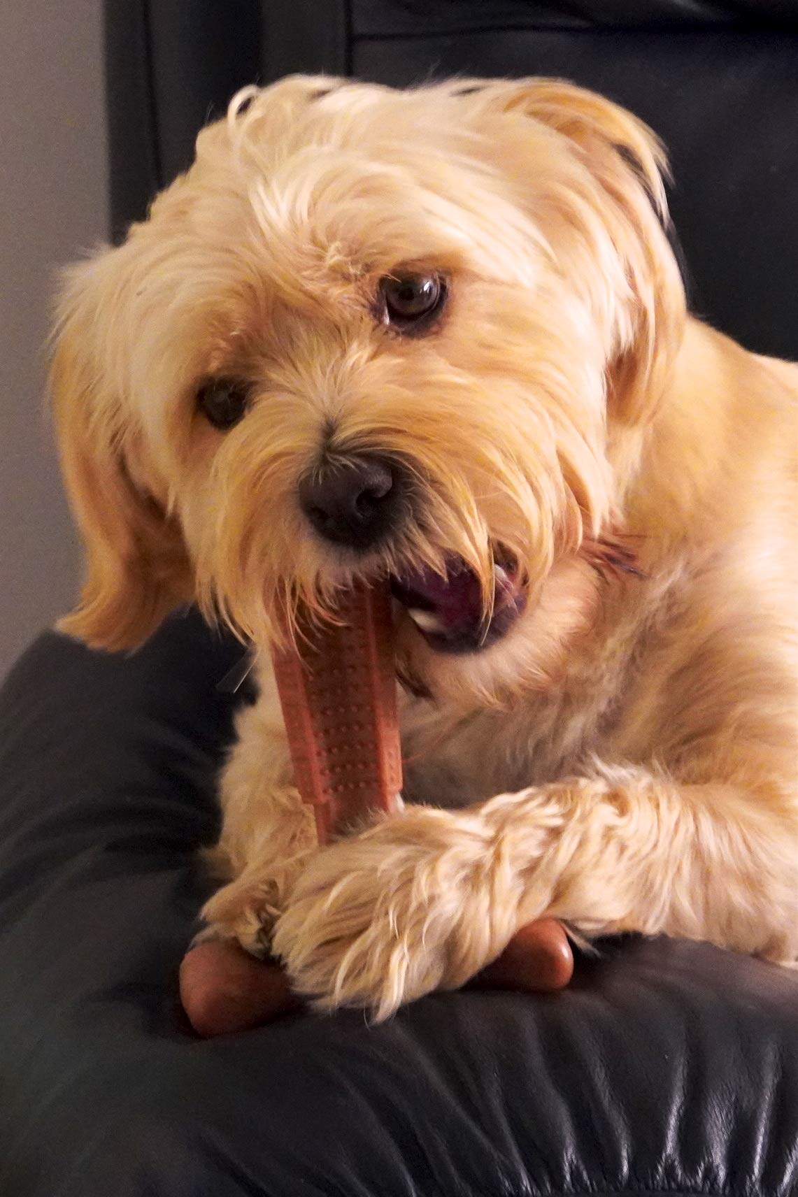 Bamboodles T-Bone Dog Chew - Natural Long-Lasting Dental Treat for Aggressive Chewers - Small Chicken Flavor - Perfect for Teething Puppies & Strong Chewers - Promotes Dental Health & Reduces Anxiety