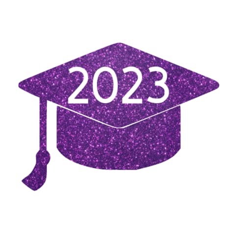 Purple Glitter