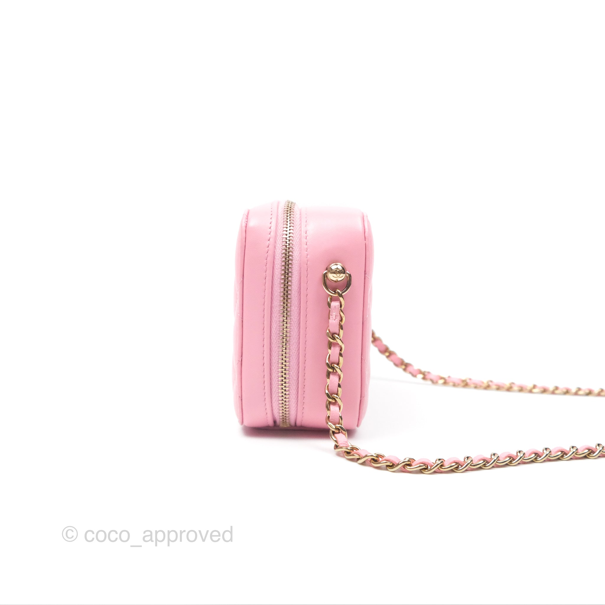 Chanel Quilted Lambskin Camera Bag in Pink with Gold Hardware - Perfect for Everyday Use & Special Occasions