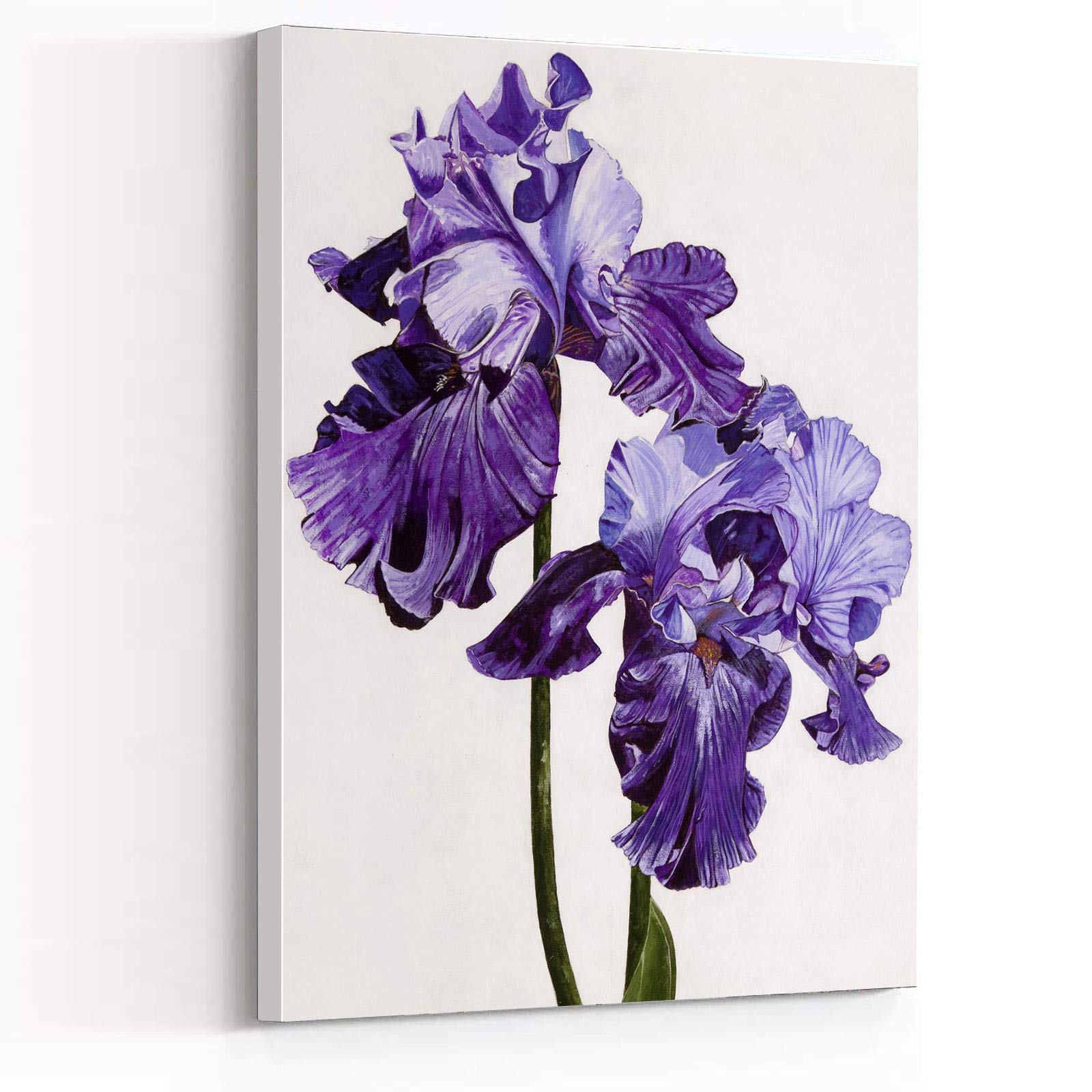Purple Irises Framed Wall Art - 16x24 Inch Minimalist Canvas Print for Teen Room Decor, Vintage & Farmhouse Style - Perfect Gift for Women, Home & Office Decor