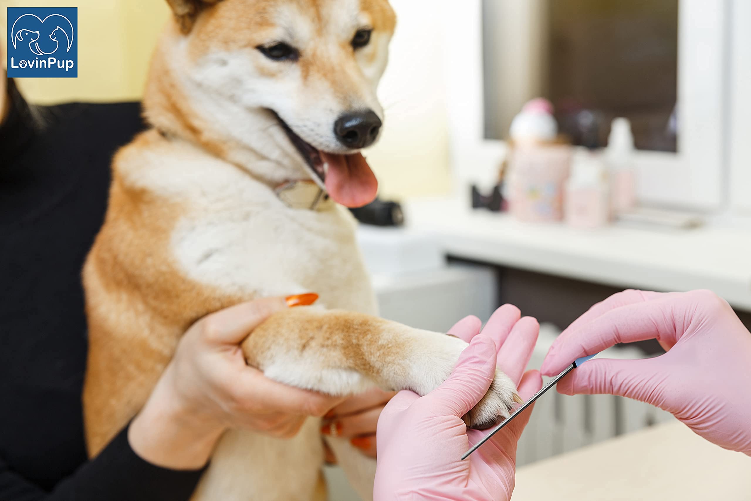 Professional Dog & Cat Nail Filer - Safe Pet Nail Grooming Tool for Smoothing Rough Edges | Perfect for Small & Large Dogs & Cats | Ideal for Home Grooming & Vet Clinics (1 Pack)