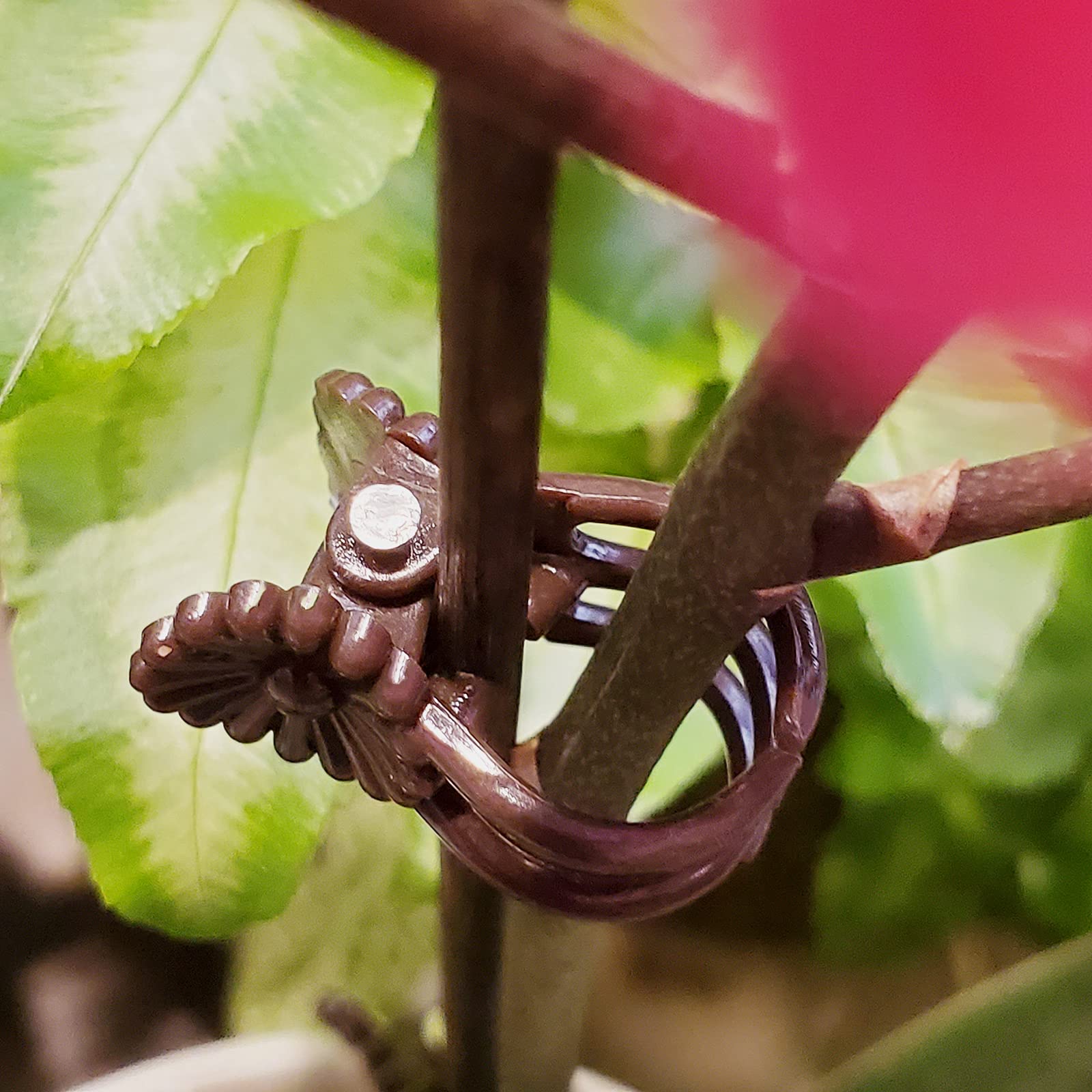 Heeqinn Toothy Orchid Clips - 100pcs Plant Support Clips for Climbing Plants, Vines, and Stems - Secure to Bamboo Stakes, Trellis, or Plant Cages - Perfect for Orchids, Tomatoes, and Garden Support Systems - Indoor & Outdoor Gardening Essentials