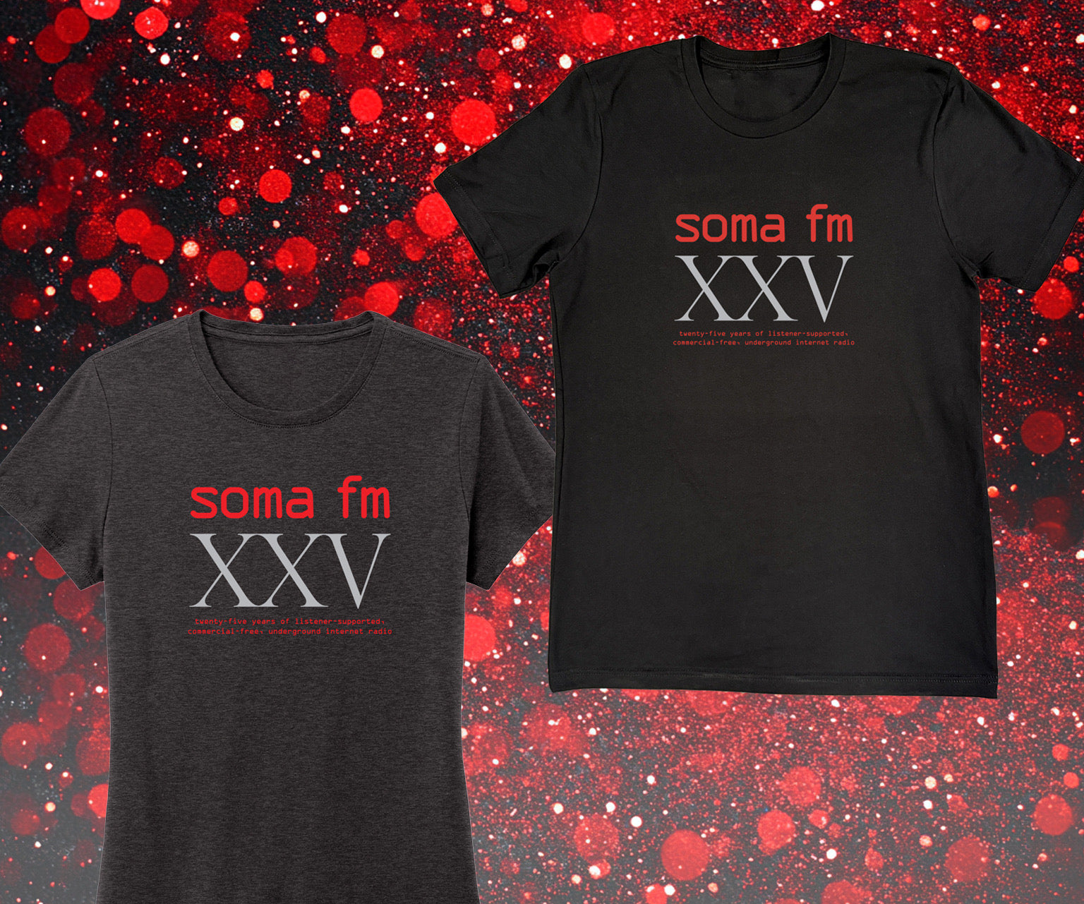 25th Anniversary Limited Edition T-Shirt for Men & Women - Unisex Vintage Style Tee for Casual Wear, Parties & Special Events