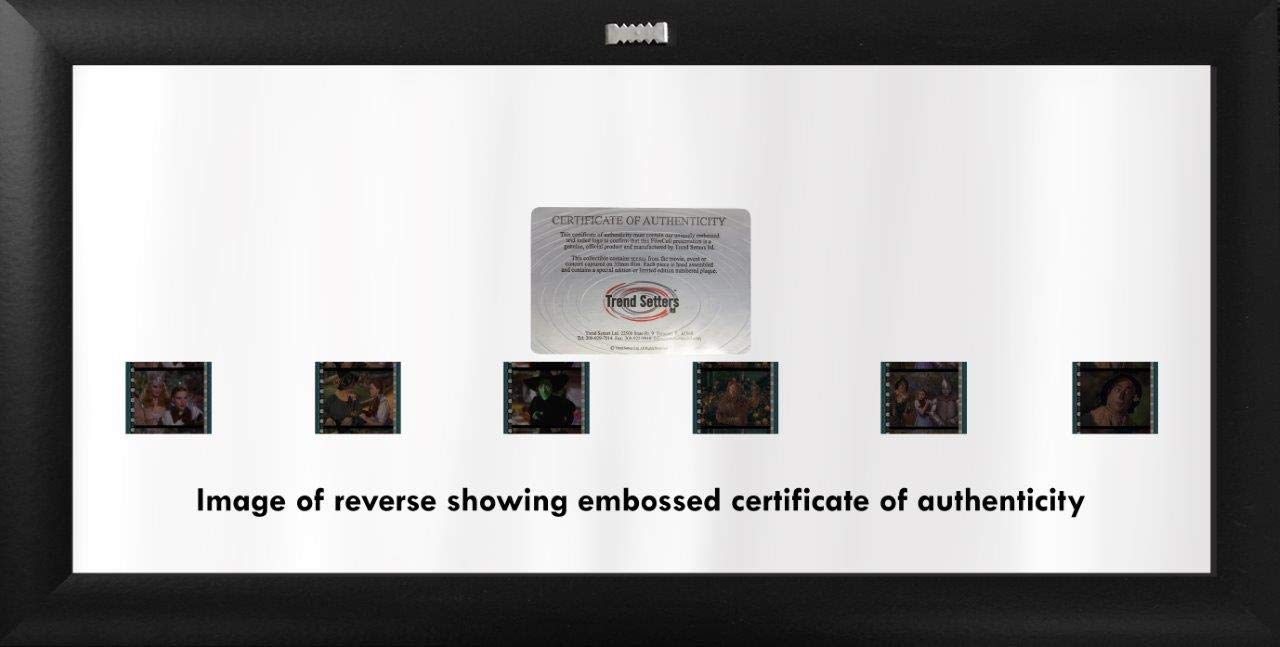 Wizard of Oz Framed FilmCells Presentation - Dorothy, Scarecrow, Tin Man, Cowardly Lion, Glinda & Wicked Witch - Authentic 35mm Film - 80th Anniversary Limited Edition with COA - Perfect for Movie Collectors & Home Theater Decor