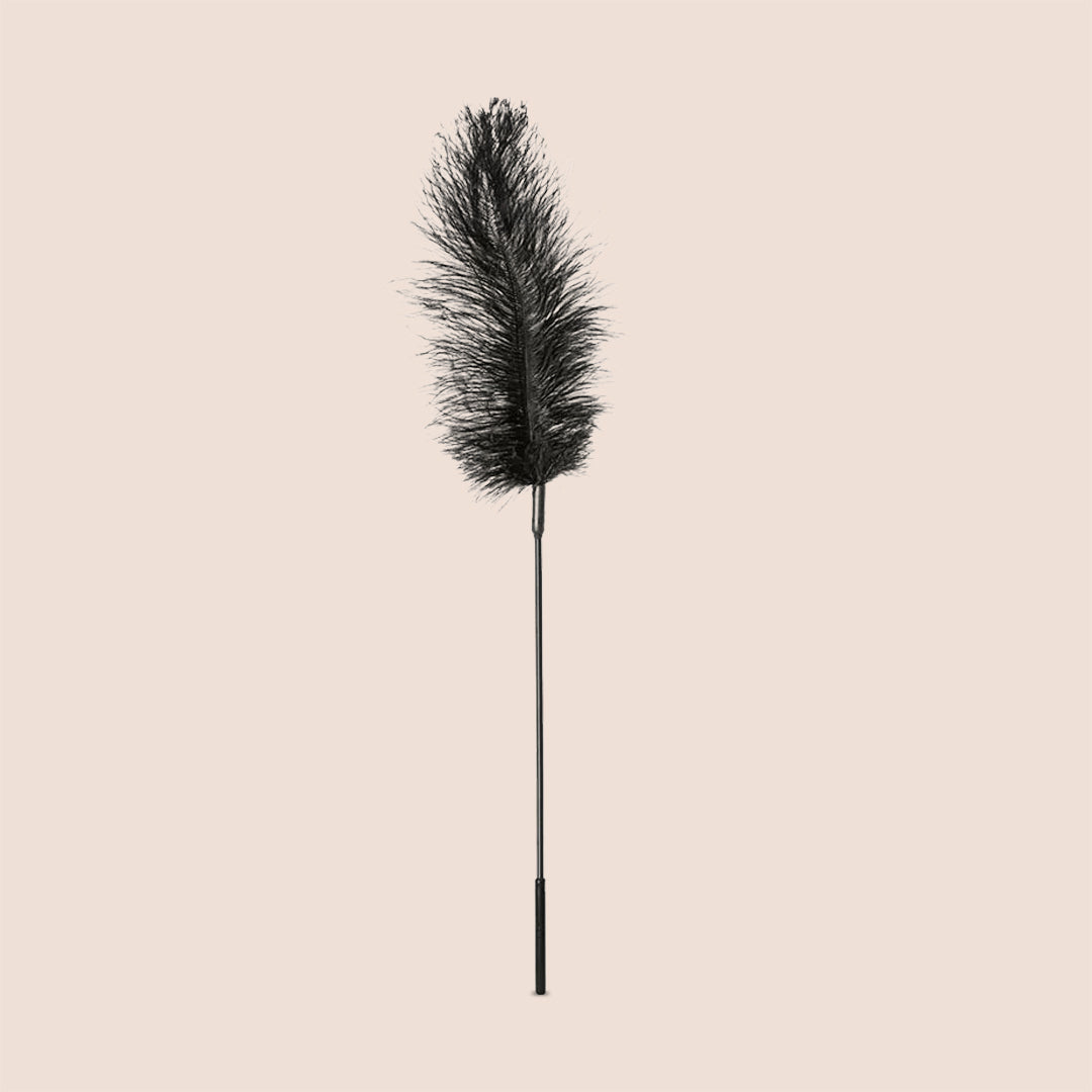 Ostrich Tickler Adult Toy - Fun & Playful Feather Tickler with Sexy Game Guide for Couples & Parties | Enhance Intimacy & Spice Up Your Love Life