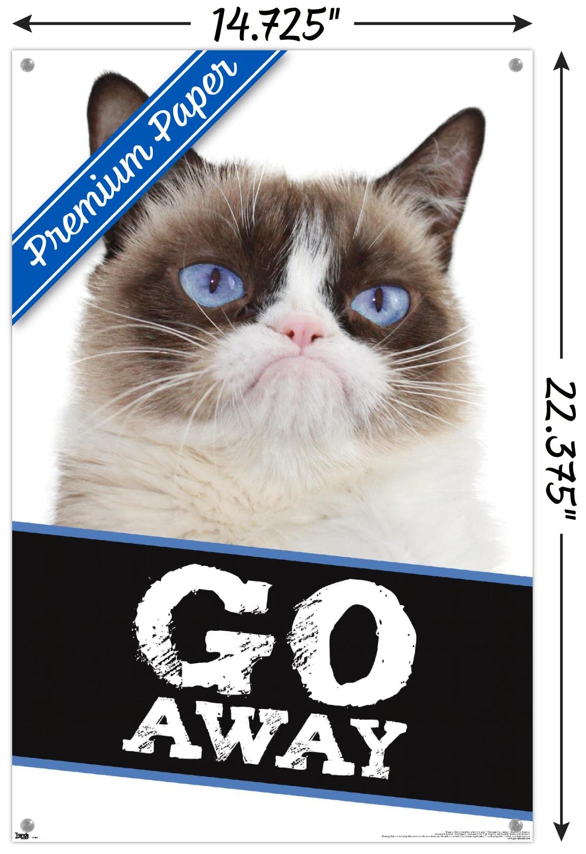 Grumpy Cat - Go Away Wall Poster with Push Pins | Funny Office Decor for Home & Work | Motivational Wall Art for Cat Lovers