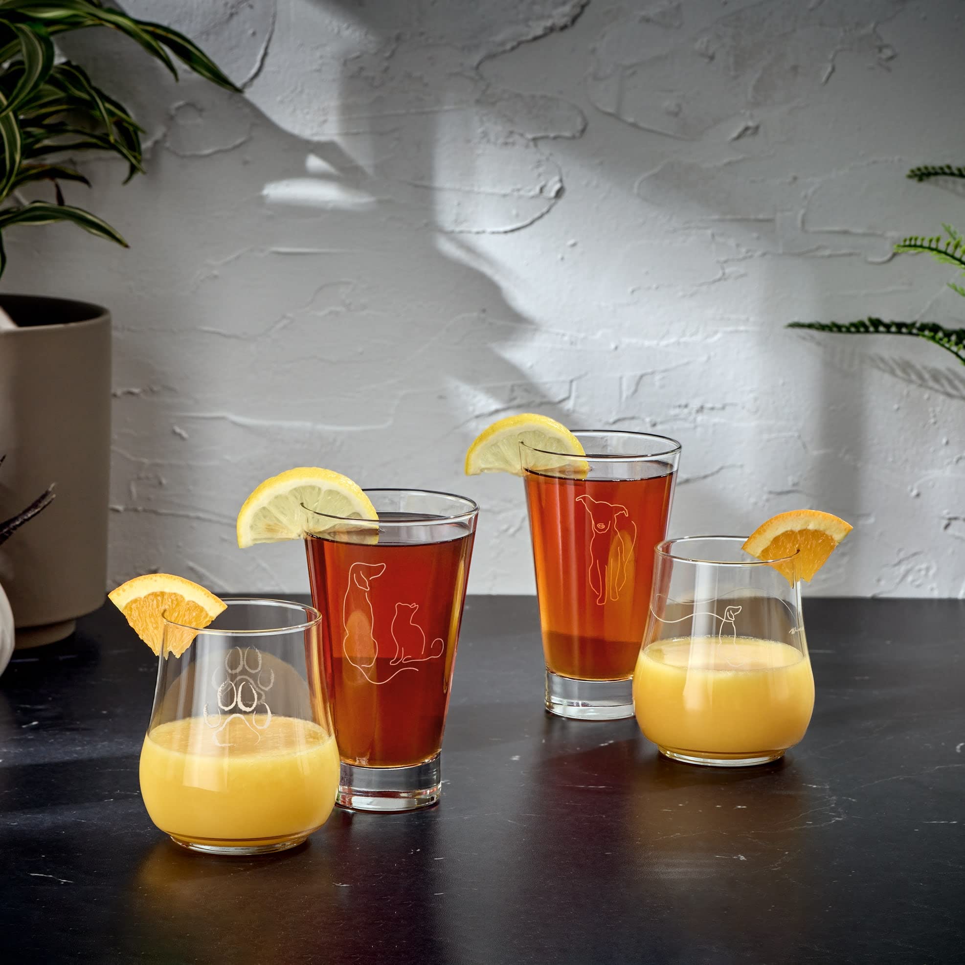 Libbey 17oz Modern Pets Posh Paw Glasses - Set of 4 for Home & Party Use