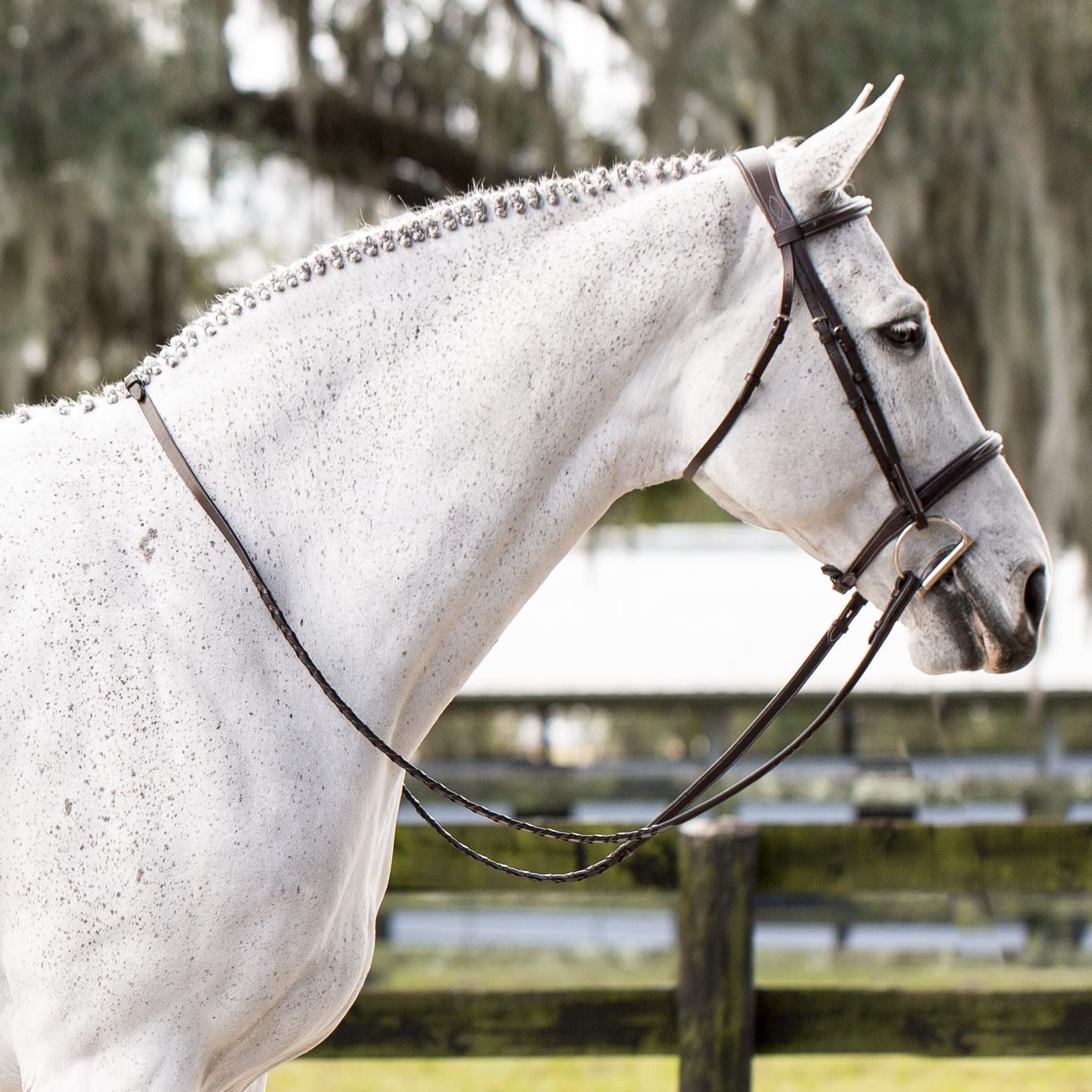 Equinavia Valkyrie Fancy Stitched Padded Cavesson Hunter Bridle with Reins - Premium Equestrian Riding Gear for Dressage & Show Jumping - Perfect for Competition & Training Sessions