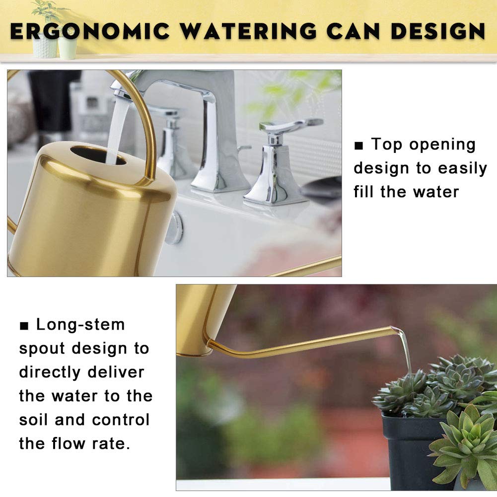 Premium Stainless Steel Watering Can 40oz (1300ml) - Long Spout Indoor Outdoor Plant Watering Can for House Plants, Succulents, Bonsai, Garden Flowers - Perfect for Home Gardening, Balcony & Patio Use