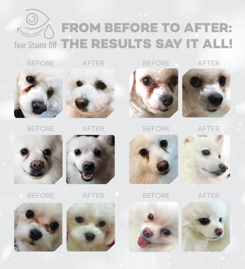Premium Adult Dog Dental Chews with White Fish - Light Coated Teeth Cleaning Treats for Small & Large Breeds - Freshens Breath & Reduces Plaque - Perfect for Daily Oral Care & Training Rewards