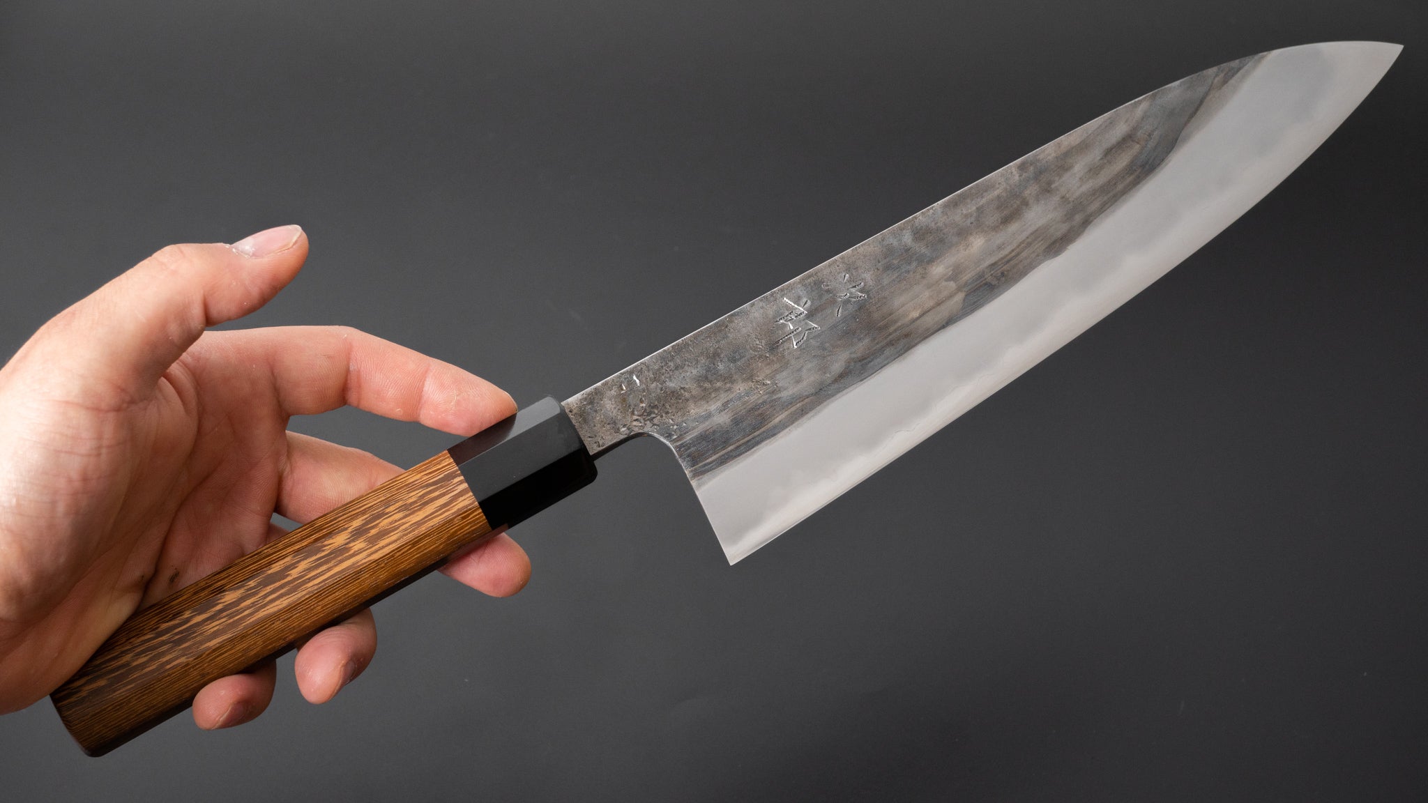 Premium Jiro Tsuchime Wa Gyuto 240mm Japanese Chef Knife with Taihei Tagayasan Handle - Perfect for Sushi, Meat Cutting & Professional Kitchen Use
